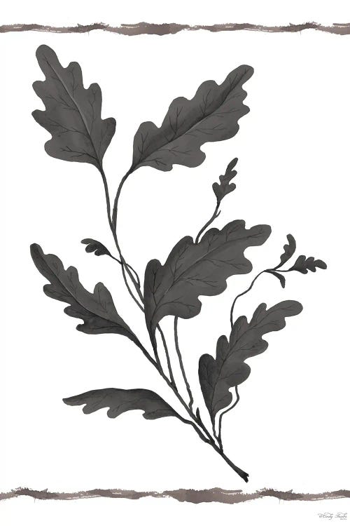 Leaf Collection IV by Cindy Jacobs wall art