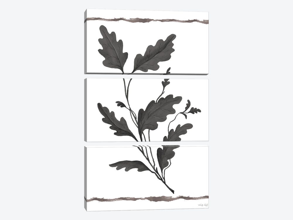 Leaf Collection IV by Cindy Jacobs 3-piece Canvas Print
