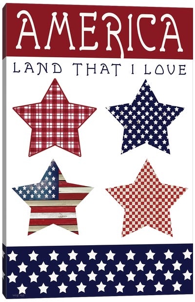 Stars Of America Canvas Art Print - Gingham Patterns