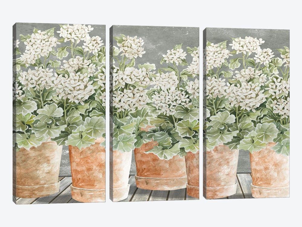 All In A Row II by Cindy Jacobs 3-piece Canvas Wall Art