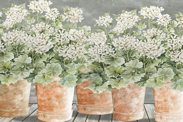 Still Life: All In A Row II by Cindy Jacobs