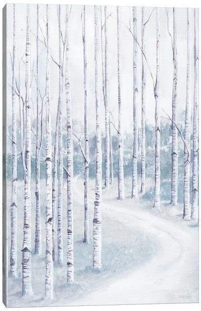 Birch Forest Canvas Art Print - Trail, Path & Road Art