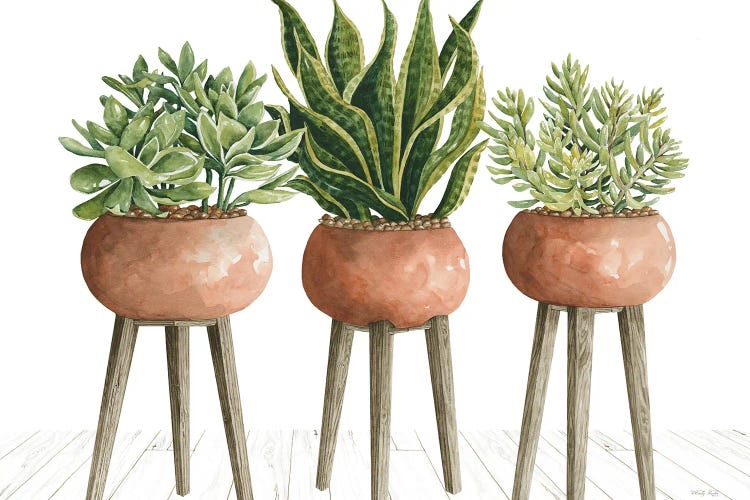 Clay Pot Trio Of Plants