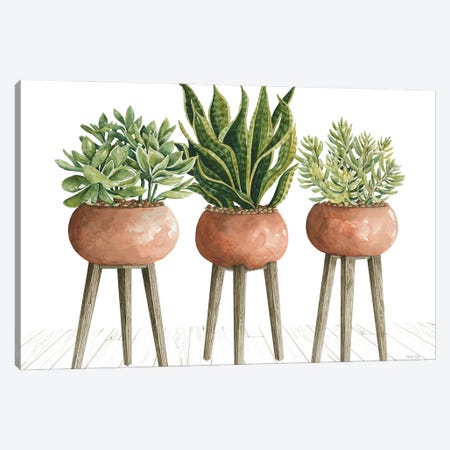 Clay Pot Trio Of Plants Canvas Print #CJA709} by Cindy Jacobs Canvas Art