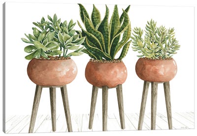 Clay Pot Trio Of Plants Canvas Art Print - Cindy Jacobs