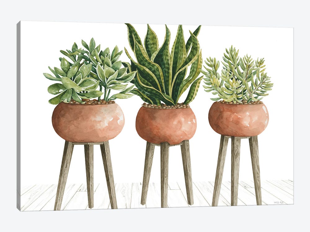 Clay Pot Trio Of Plants by Cindy Jacobs 1-piece Canvas Artwork