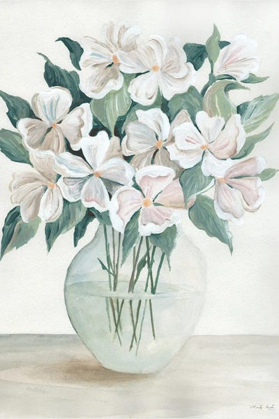 Cosmos: Cosmos Delight by Cindy Jacobs