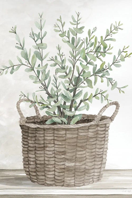 Eucalyptus Basket