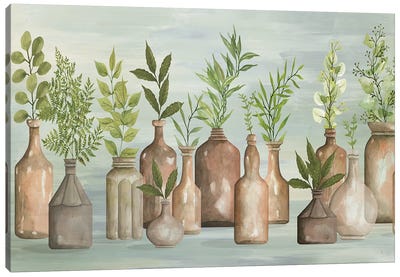 Greenery In Bottles III Canvas Art Print - Cindy Jacobs
