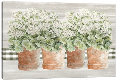 Welcoming Geraniums II Canvas Art Print - Cindy Jacobs