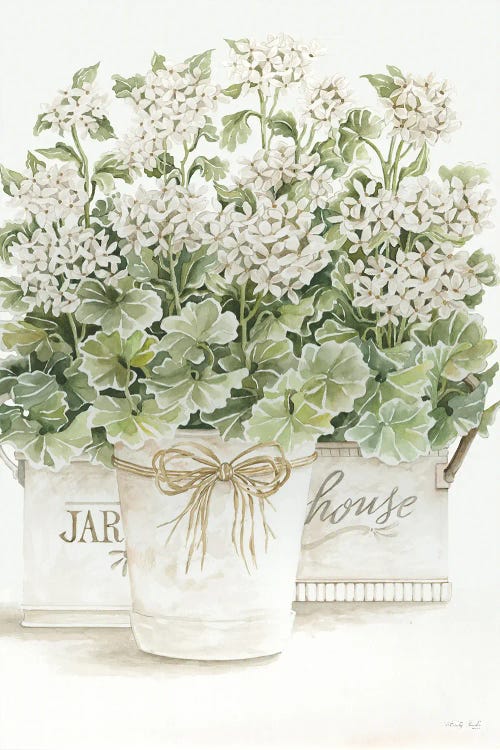 White Geraniums I by Cindy Jacobs wall art