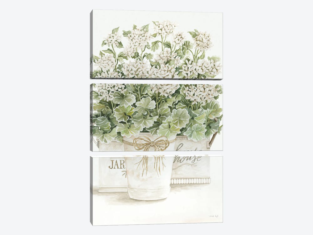 White Geraniums I by Cindy Jacobs 3-piece Canvas Print