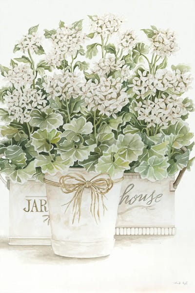 Geraniums: White Geraniums I by Cindy Jacobs