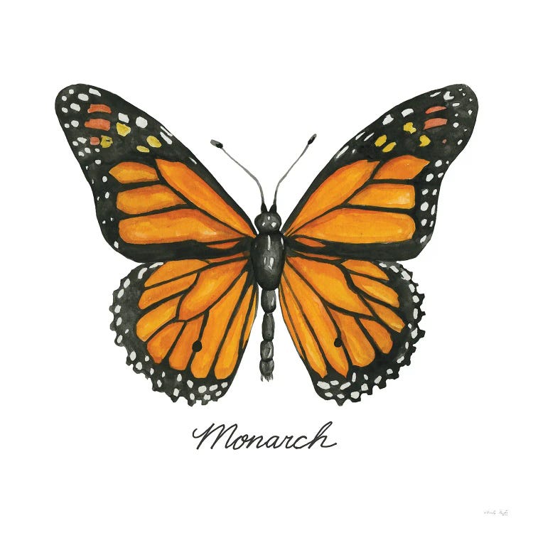 Monarch