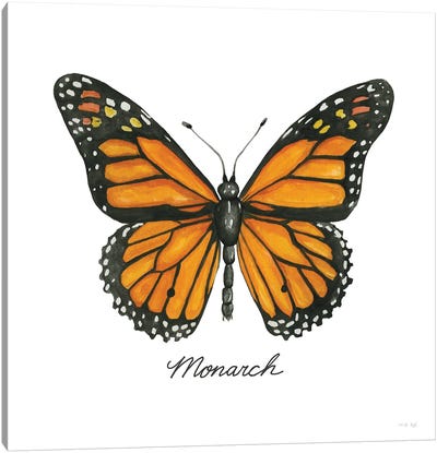 Monarch Canvas Art Print - Cindy Jacobs