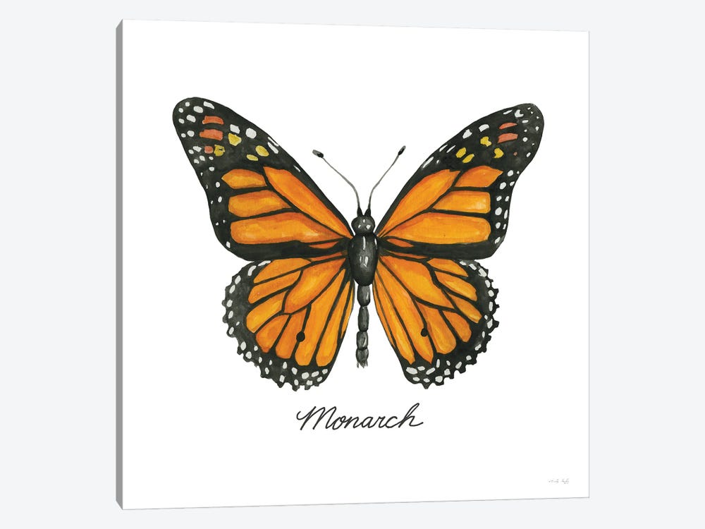 Monarch by Cindy Jacobs 1-piece Canvas Print