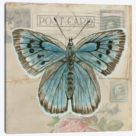 Postcard Butterfly I Canvas Print #CJA744} by Cindy Jacobs Canvas Print