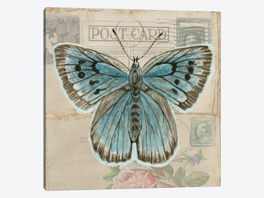 Postcard Butterfly I by Cindy Jacobs 1-piece Art Print