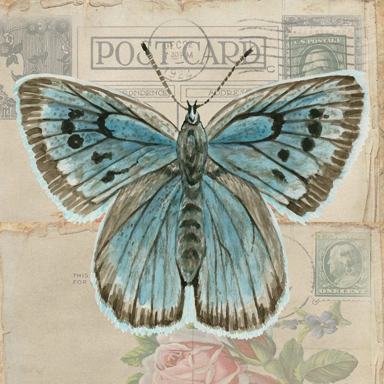 Postcard Butterfly I