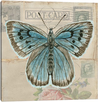 Postcard Butterfly I Canvas Art Print - Cindy Jacobs