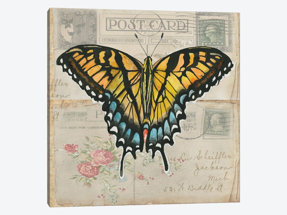 Postcard Butterfly II by Cindy Jacobs 1-piece Canvas Artwork