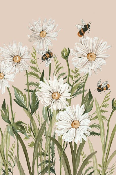 Bees: A Buzzing Ballet by Cindy Jacobs