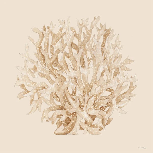 Pale Coral Portrait I