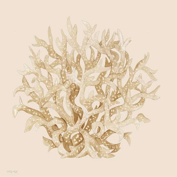 Pale Coral Portrait II