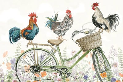 Cindy Jacobs - Canvas Prints: Pedaling Poultry by Cindy Jacobs