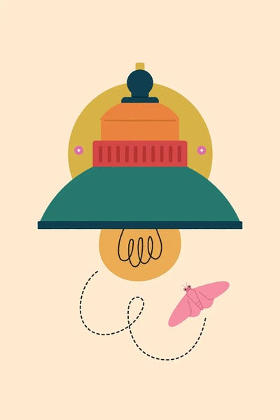 Moths: Moth To Light by Carmen Jabier