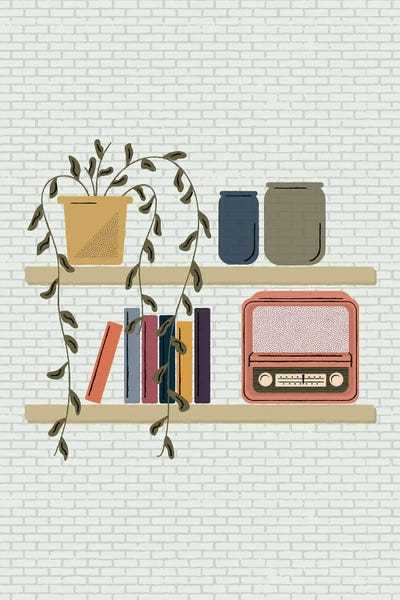 Media Formats: Shelved by Carmen Jabier