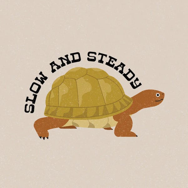 Turtles: Slow And Steady by Carmen Jabier