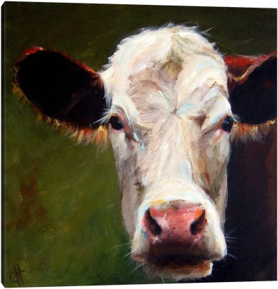 Frances Canvas Art Print - Cow Art