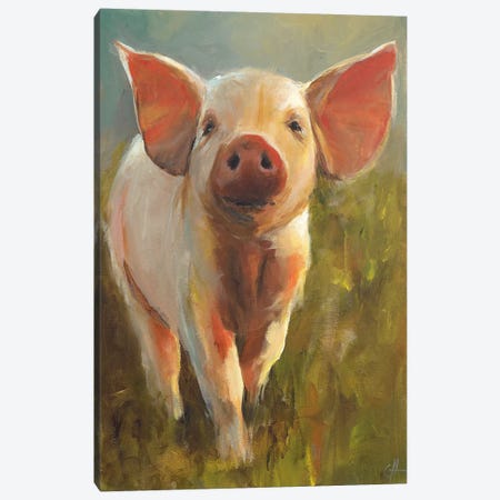 Morning Pig Canvas Print #CJH3} by Cari J. Humphry Canvas Art Print