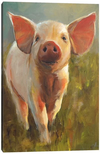 Morning Pig Canvas Art Print - Pigs