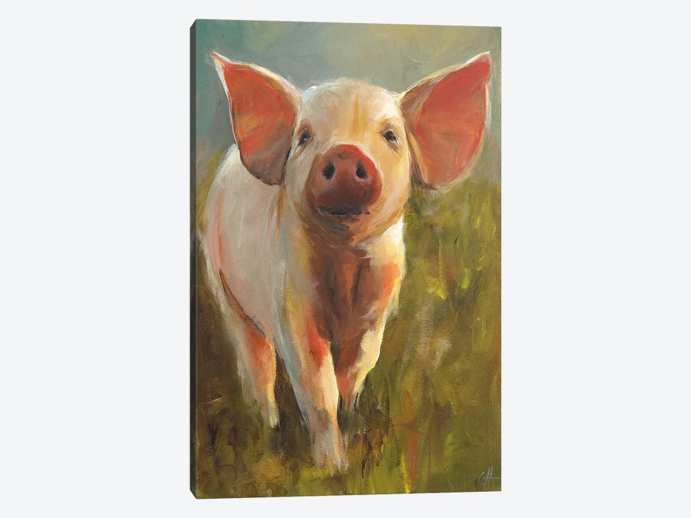 Morning Pig by Cari J. Humphry 1-piece Canvas Wall Art
