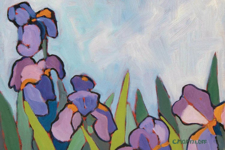 The Iris Fields, 2022 by Catherine J Martzloff wall art