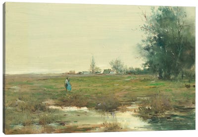 Loss Canvas Art Print - Marsh & Swamp Art