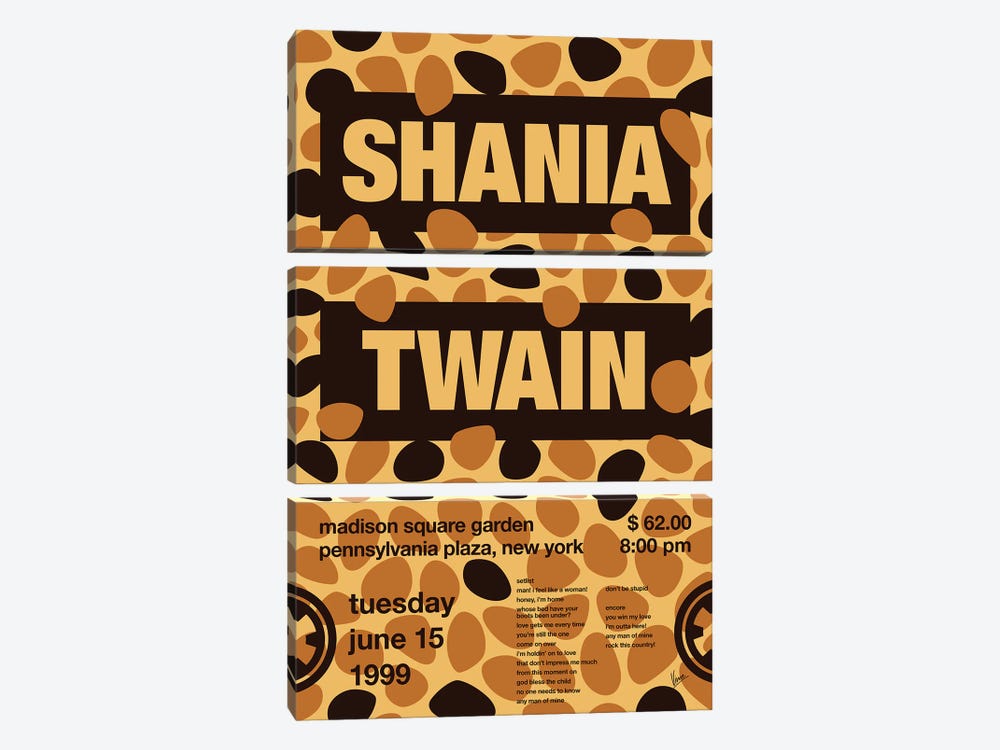 Shania Twain Poster by Chungkong 3-piece Art Print