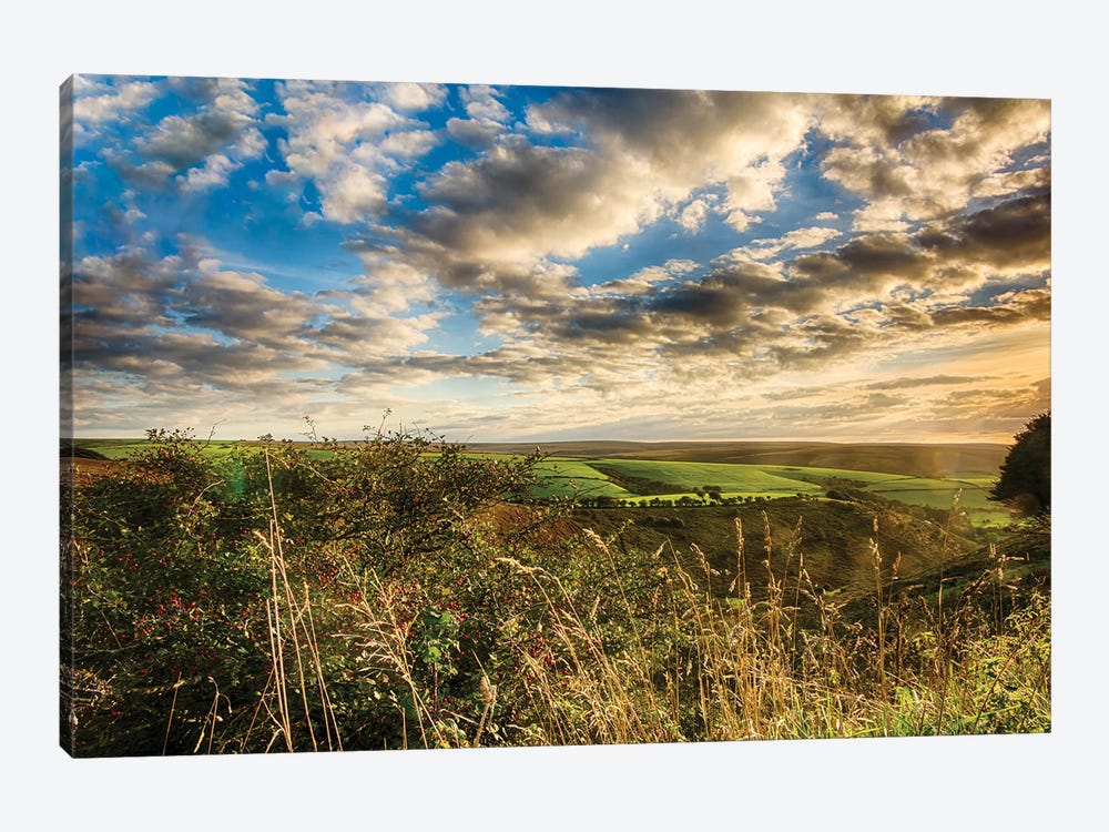 Sun Kissed Exmoor by Colin Kemp Photography 1-piece Art Print