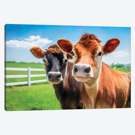 Two Cows - Photo Based Art Canvas Print #CKP40} by Colin Kemp Photography Canvas Artwork