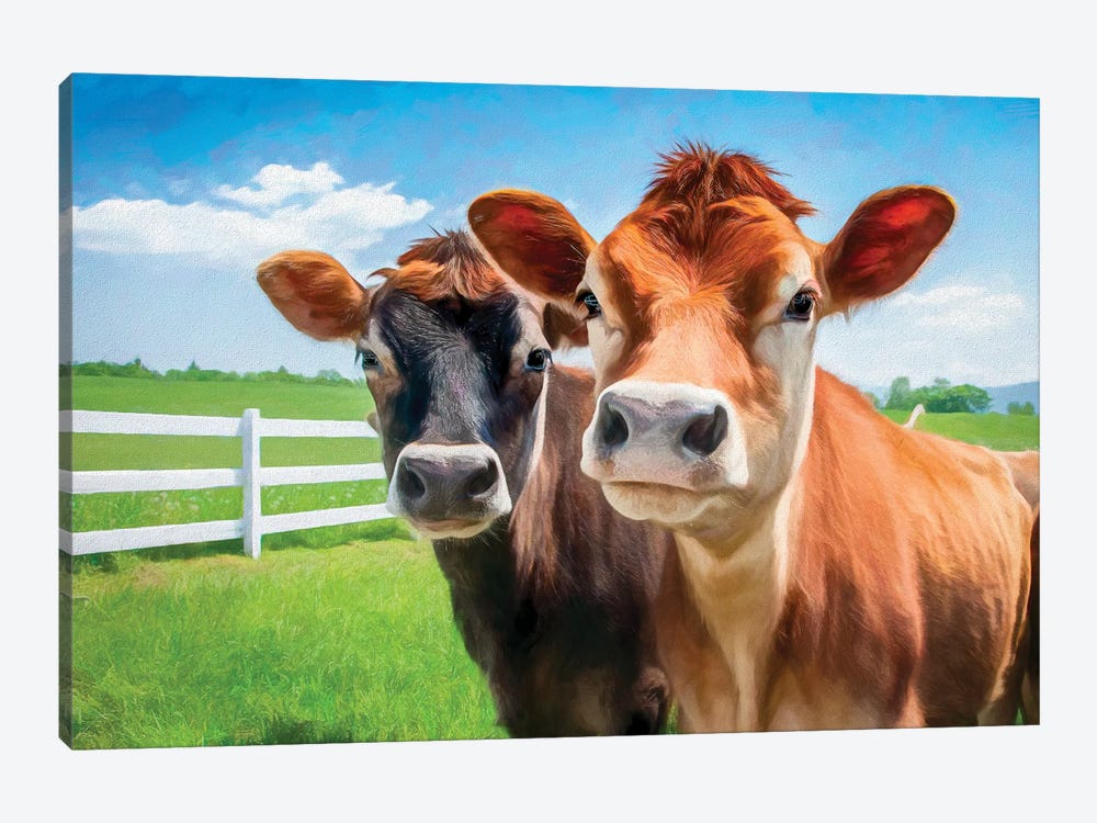 Two Cows - Photo Based Art by Colin Kemp Photography 1-piece Canvas Art Print