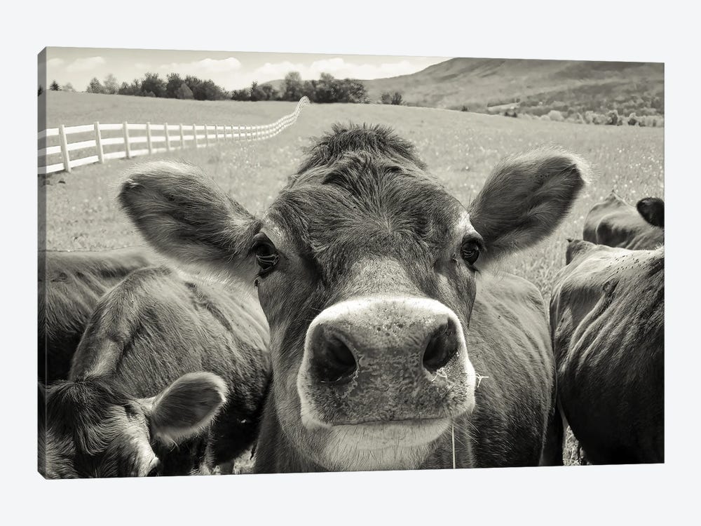 Friendly Jersey, Vermont - Sepia Toned by Colin Kemp Photography 1-piece Canvas Artwork