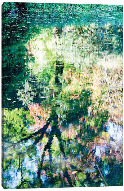 Monet At Stourhead? Canvas Art Print - Colin Kemp Photography