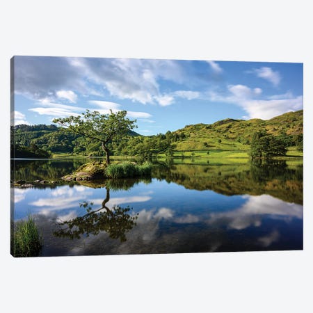 Lone Tree At Rydal Water, Lake District Canvas Print #CKP59} by Colin Kemp Photography Art Print