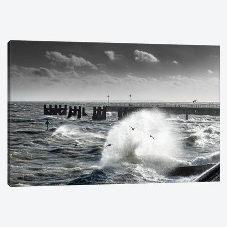 Storm-Chased Gulls - Shoeburyness Canvas Print #CKP63} by Colin Kemp Photography Canvas Wall Art