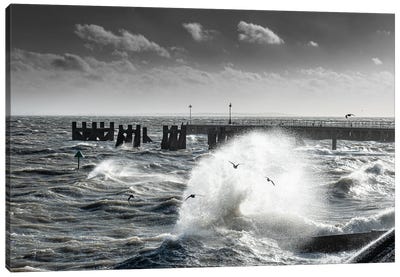Storm-Chased Gulls - Shoeburyness Canvas Art Print - Colin Kemp Photography