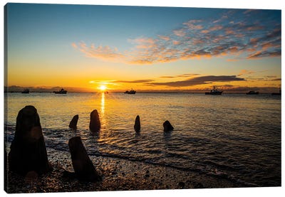 The Stumps At East Beach, Sunrise Canvas Art Print - Colin Kemp Photography