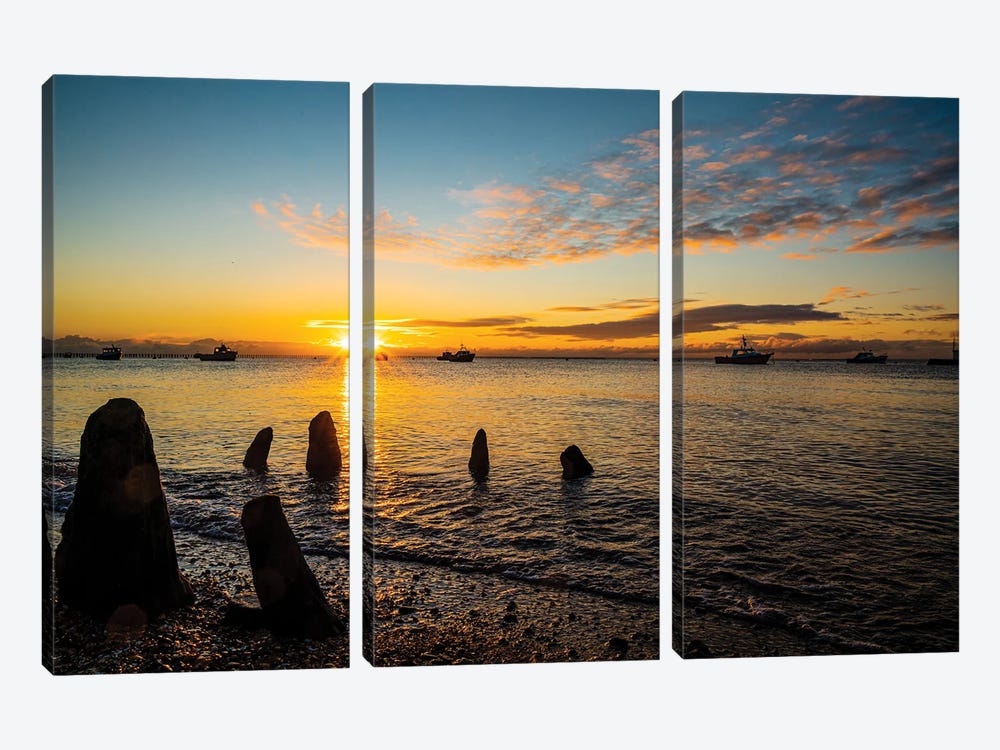 The Stumps At East Beach, Sunrise by Colin Kemp Photography 3-piece Canvas Print