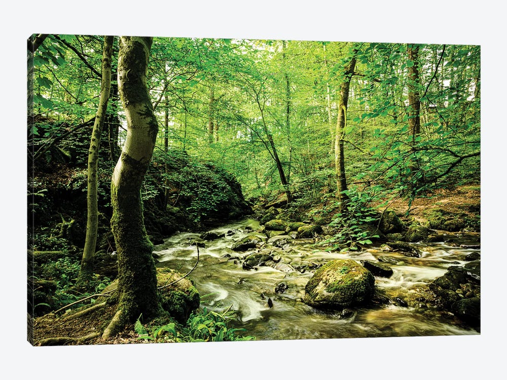 Woodland Stream, Lake District by Colin Kemp Photography 1-piece Canvas Artwork